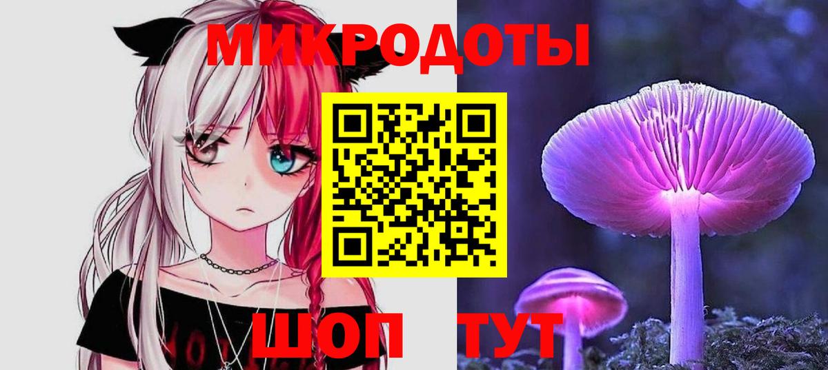 Псилоцибиновые грибы Psilocybe Нефтекамск